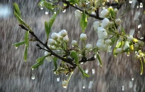 Avertizare Meteorologică