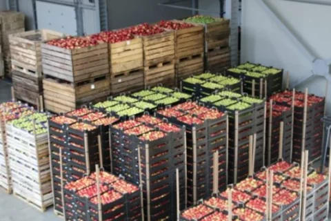 În Parcul Industrial „Edineț” a fost inaugurat un depozit frigorific cu sală de sortare și ambalare a fructelor!